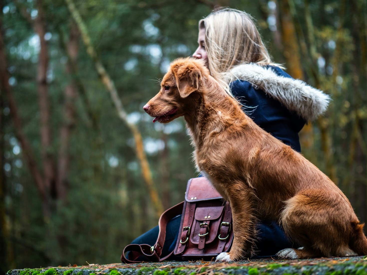 Warum instinktives Hundetraining so effektiv ist